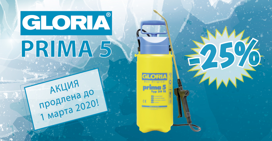  Gloria Prima 5